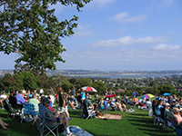 Concert In the park